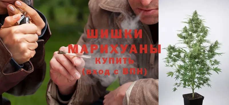 Конопля THC 21%  хочу наркоту  Новомосковск 